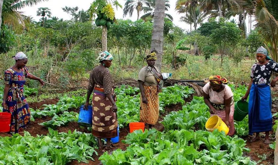 Agriculture